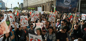 Нов протест срещу Стратегията за детето