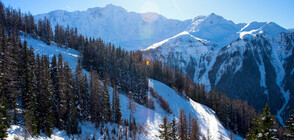 Известен френски скиор загина в Алпите