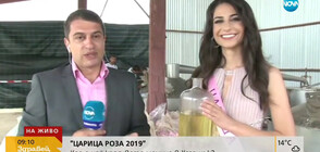 "ЦАРИЦА РОЗА 2019": Кое е най-красивото момиче в Казанлък?
