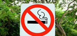 В Париж забраняват пушенето в 52 обществени парка и градини