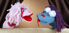 Куклено шоу организираха едни от финалистите в четвъртото издание на "Промяната"