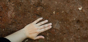 Учени откриха потънал праисторически свят