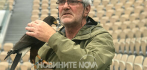 Соколите - летящата охрана на "Ролан Гарос" (ВИДЕО+СНИМКИ)