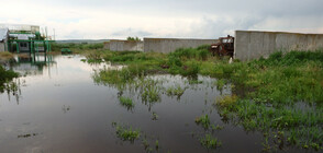 Река Студена преля, стотици декари в Караманово са под вода (СНИМКИ)
