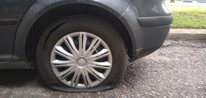 От "Моята новина": Над 30 коли осъмнаха с нарязани гуми в София (ВИДЕО+СНИМКИ)