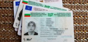 НС РЕШИ: Родените в чужбина българи ще са със специални лични карти