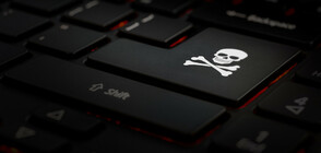 809 милиона лева - годишните загуби от пиратство в България