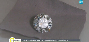 ЕКСКЛУЗИВНО ПРЕД NOVA: Как се произвеждат диаманти?