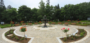 Организации искат референдум за бъдещето на Борисовата градина