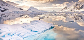 Ученици правят мозаечни пана, за да насочат вниманието към опазването на Антарктида