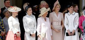 ИЗЯЩЕСТВО И СТИЛ: Кейт, Летисия, Максима и Камила по женски на служба (СНИМКИ)