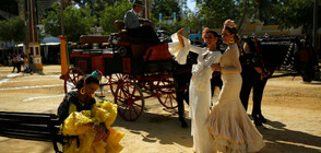 НАЗАД ВЪВ ВРЕМЕТО: Празникът на конете в Херес де ла Фронтера (ГАЛЕРИЯ)