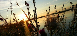 Настъпва астрономическото лято