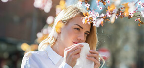 Как да разпознаваме алергиите?