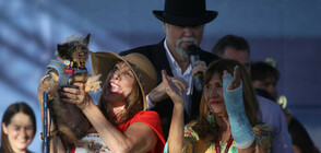 Скамп дъ Трамп спечели конкурса за най-грозно куче на планетата (СНИМКИ)