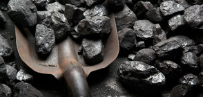 Еколози нахлуха в една от най-големите мини за въглища в света