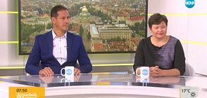 Какви са причините за тежките катастрофи през почивните дни?