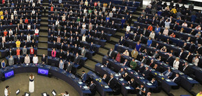 Новото съотношение на силите в Европейския парламент