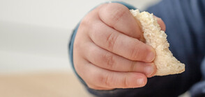 Служител на детска ясла в Русе е причинител за салмонелата и заболяването на децата