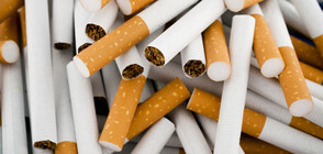 Отчитат спад при контрабандата на цигари