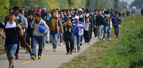 Задържаха близо 100 незаконни мигранти в Словения