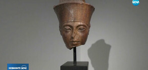 Продадоха на търг бюст на Тутанкамон за 5 млн. лири