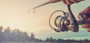 Губим 7,2 милиона евро за рибарство