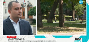 Депутат от ГЕРБ: Не въвеждаме задължителни намордници за всички породи кучета