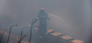 Гърция обяви извънредно положение на остров Евбея заради пожари (СНИМКИ)