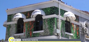 Ще приеме ли Пловдив тапети по фасадите в „Капана”?