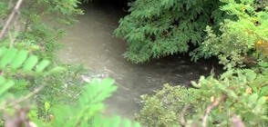 Отпадъчни води от рудник замърсиха река Луда Яна