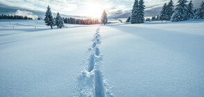 Зимна буря в Колорадо: 15 см сняг, температурите - минусови
