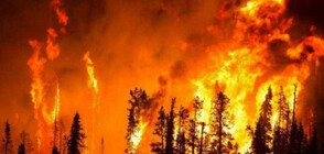Горски пожари горят на два турски острова в Мраморно море (ВИДЕО)