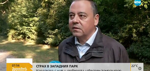 Известен композитор беше нападнат с нож и отвертка в София