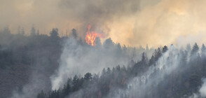 Пожар бушува на гръцкия курорт „Ксилокастро”
