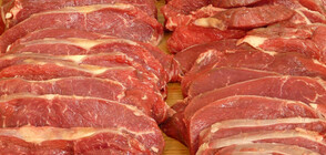 СЛЕД АФРИКАНСКАТА ЧУМА: Какво свинско месо ядем?