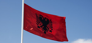 Протести в албанската столица