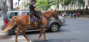 Снимка на арестант, воден от полицаи на коне, възмути САЩ (СНИМКА)