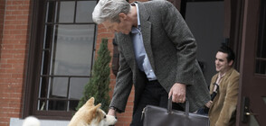 „Хачико: Историята на едно куче” превзема седмата седмица на „Великият понеделник”