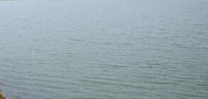 Намериха животински трупове в напоителни канали в Сливенско