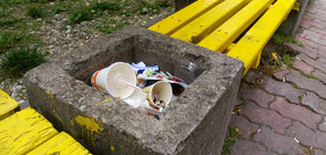 Млад мъж превърна пътя си до работа в кауза за по-чист град