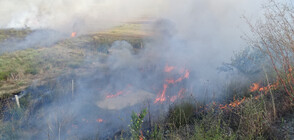 Пожар край Благоевград предизвика задимяване на магистрала „Струма”