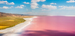 Турското езеро Туз се оцвети в розово (СНИМКИ)
