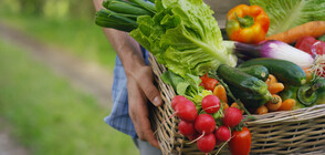 Създаден е електронен регистър за операторите на биологични продукти