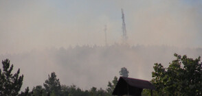 Новото огнище на пожара край Реброво е овладяно
