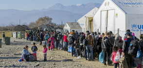 ООН: В света има 70 милиона бежанци