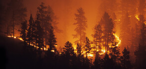 Риск от горски пожари в страната
