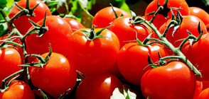 Ще отпадне ли ДДС за българските зеленчукопроизводители?