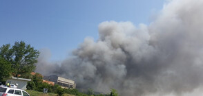 Нено Димов налага глоба на завода за отпадъци край Шишманци