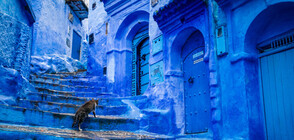 Най-цветните градове в света (ГАЛЕРИЯ)